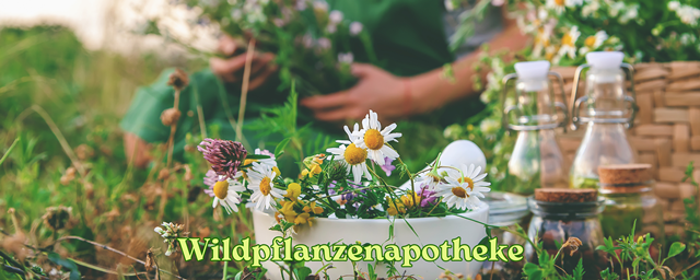 DIY Naturkosmetik Workshop(2)