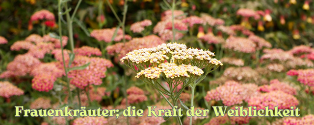 DIY Naturkosmetik Workshop(5)