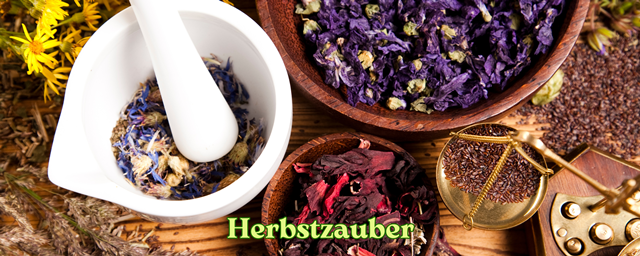 DIY Naturkosmetik Workshop(6)