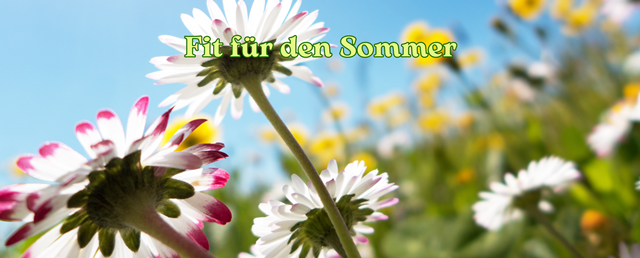 DIY Naturkosmetik Workshop(7)