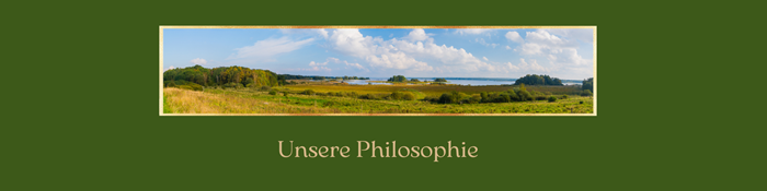 Kopie von Blau und Rosa Modern Technologie Elektronik und Technologie Einziehbares Ausstellungsbanner (20 � 5 cm)